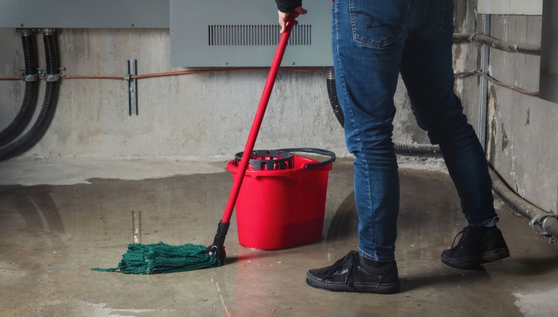 Wet Basement Solutions in Fort Collins, CO